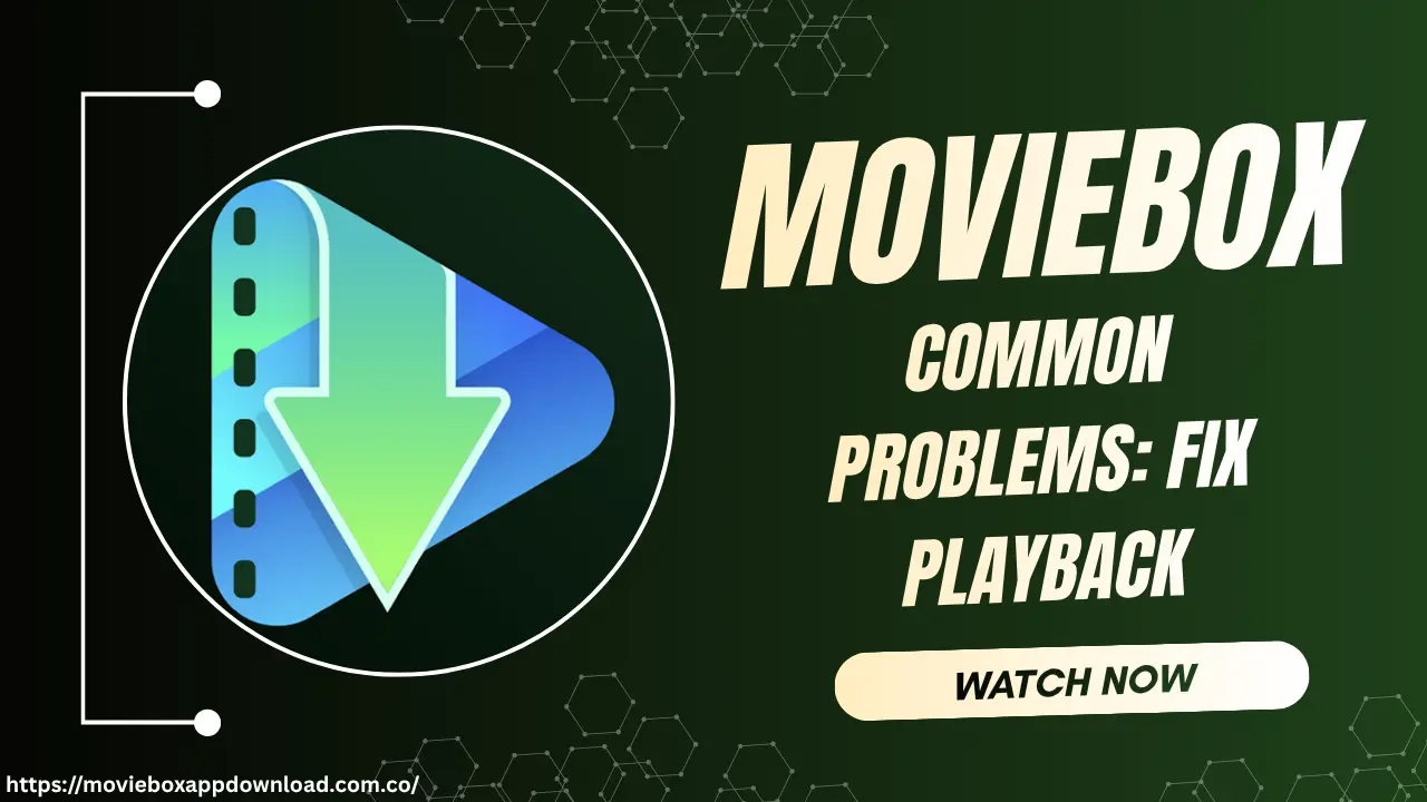 Moviebox App Common Problems: Fix Playback & Download Issues